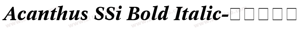 Acanthus SSi Bold Italic字体转换
